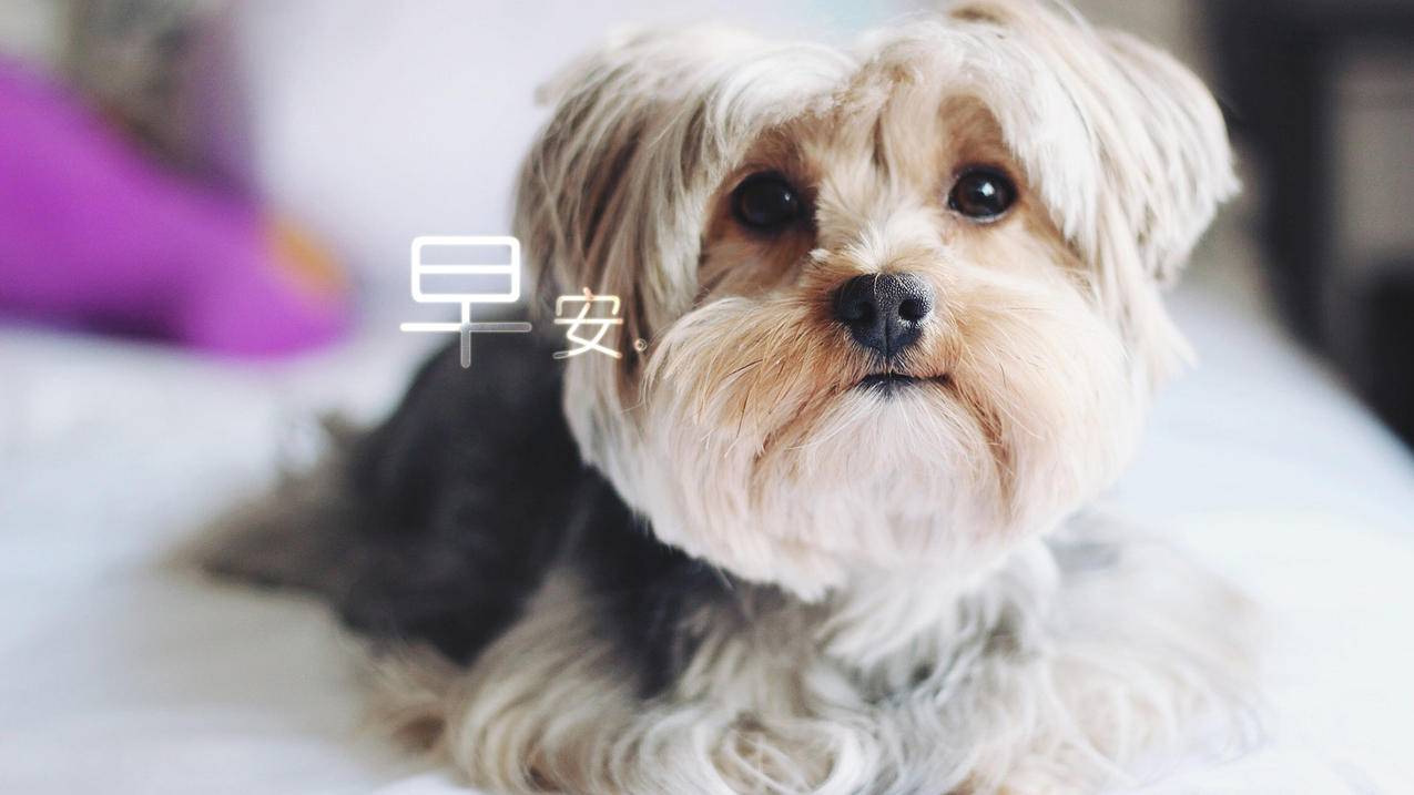 快手免费涨热度入口|酒入辅助网|Ks自助下单业务,24小时低价自助下单